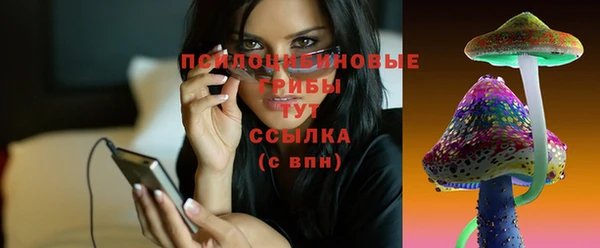 PSILOCYBIN Алзамай