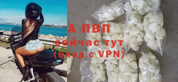 тгк Пересвет