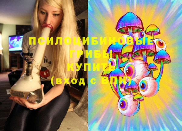 PSILOCYBIN Алзамай